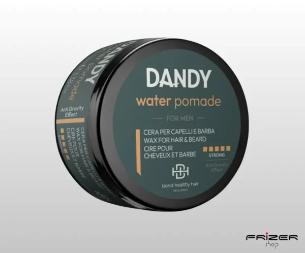 Dandy pomada strong 100 ml